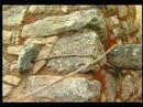 Inca Trail to Machu Picchu Videos Cusco tours hotels Hoteles Turismo