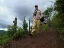 Peru and Cusco, paradise for birdwatchers Videos Cusco tours hotels Hoteles Turismo