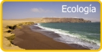 ecologia peru playas cuencas desagues manejo agua pesqueria mineria contaminacion
